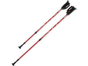 y񂹁zHH DFP vObVuY[ 2{1g bh XebL Ԉ֎q s⏕  qޗ