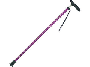 y񂹁z LkaI RۃObv  XebL Ԉ֎q s⏕  qޗ