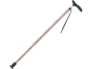 y񂹁z LkaI RۃObv sN XebL Ԉ֎q s⏕  qޗ