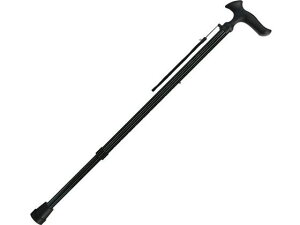 y񂹁ztWz[ XebL 邪I XgCv XebL Ԉ֎q s⏕  qޗ