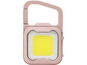 y񂹁zTV [dsJMINILIGHT_XeBsN WRC-21DP Ɩ Cg v