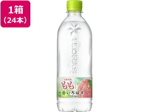 RJER[ EÉE  540ml×24{