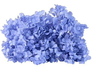 y񂹁z vU[uht[ \tgAix u[x[ CeA ͂Ȃ ϗtA ԍ t[AWg tFCNt[  Xܑ ԍ v