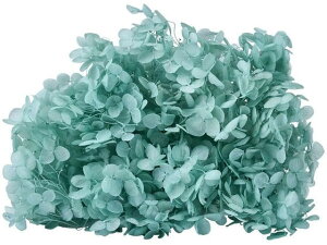 y񂹁z vU[uht[ \tgAix yp[~g CeA ͂Ȃ ϗtA ԍ t[AWg tFCNt[ tFCNO[  