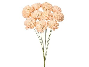 y񂹁z hCt[ \[[[YE s[`V[xbg s[`V[xb CeA ͂Ȃ ϗtA ԍ t[AWg tFCNt[  X