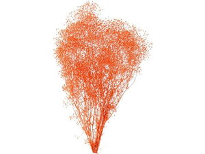 y񂹁z vU[uht[ ~jJX~ TS 24g CeA ͂Ȃ ϗtA ԍ t[AWg tFCNt[  Xܑ ԍ vU[uht