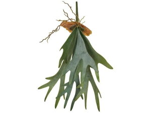 y񂹁z  REM GREEN O[ CeA ͂Ȃ ϗtA ԍ t[AWg tFCNO[ Xܑ t O[   t[AW