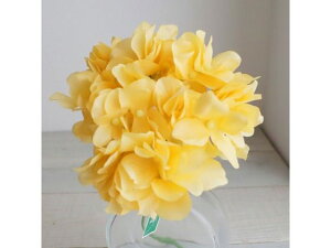 y񂹁z  AXnChWA 104 HONEY nj[CG[ CeA ͂Ȃ ϗtA ԍ t[AWg tFCNt[ Xܑ  ԍ   