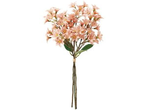 y񂹁z  Xet[oh 2 ANT.PK AeB[NsN CeA ͂Ȃ ϗtA ԍ t[AWg tFCNt[ Xܑ ԍ   t