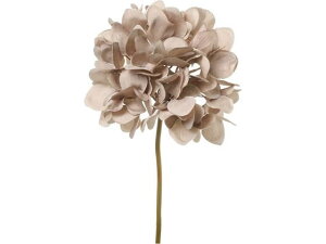 y񂹁zYDM  nChWAsbN Cgp[v CeA ͂Ȃ ϗtA ԍ t[AWg tFCNt[ Xܑ ԍ   t[AW