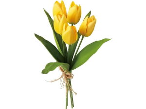 y񂹁zYDM  `[bvoh×5 CG[ CeA ͂Ȃ ϗtA ԍ t[AWg tFCNt[ Xܑ ԍ   t[AWg