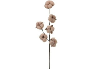 y񂹁zYDM  J[hRbgXv[ x[W CeA ͂Ȃ ϗtA ԍ t[AWg tFCNt[ Xܑ ^ }   t[AW