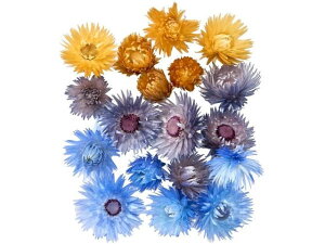 y񂹁z hCt[ Vo[f[W[wbhEA\[g u[~bNX A[eBtBVt[ CeA  ͂Ȃ ϗtA ԍ t[AW