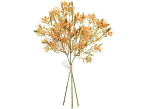 y񂹁zYDM  Wv\[oh IW A[eBtBVt[ CeA  ͂Ȃ ϗtA ԍ t[AWg tFCNt[ Xܑ