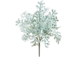 y񂹁z  rAJ_XeB~[ubV GY.GR CeA ͂Ȃ ϗtA ԍ t[AWg tFCNO[ Xܑ t O[   t