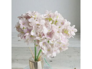 y񂹁z  JXm[{[sbN 3{ 42 LTMV CeA ͂Ȃ ϗtA ԍ t[AWg tFCNt[ Xܑ ԍ   t[AW