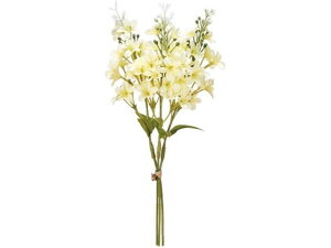 y񂹁z  }[CbNsbN 3{ 4 YELLOW CeA ͂Ȃ ϗtA ԍ t[AWg tFCNt[ Xܑ ԍ   t[AW