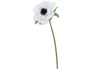 y񂹁zYDM  tAll zCg ԍ   t[AWgޗ