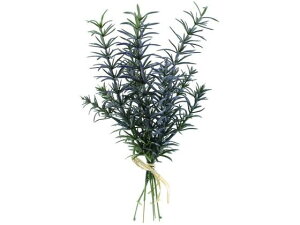 y񂹁zYDM  [Y}[o` p[v CeA ͂Ȃ ϗtA ԍ t[AWg tFCNO[ Xܑ t O[   t[AW