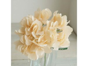 y񂹁z  AXnChWA 13 BEIGE A[eBtBVt[ CeA  ͂Ȃ ϗtA ԍ t[AWg tFCNt[ Xܑ 