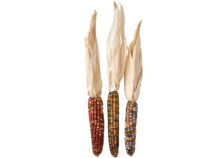 y񂹁z hCt[ OXWFR[ CeA ͂Ȃ ϗtA ԍ t[AWg tFCNt[ tFCNO[ Xܑ  hCt