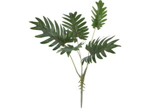 y񂹁zYDM  NbJoubV O[ CeA ͂Ȃ ϗtA ԍ t[AWg tFCNO[ Xܑ t O[   t[AW