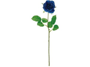 y񂹁z  teBA[Y 33 RYL BL CeA ͂Ȃ ϗtA ԍ t[AWg tFCNt[ Xܑ o ԍ   t[AW