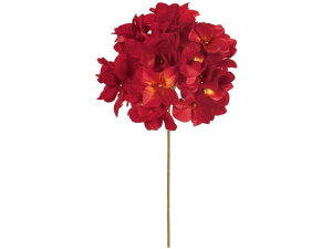 y񂹁z  xnChWA 3 RED CeA ͂Ȃ ϗtA ԍ t[AWg tFCNt[ Xܑ ԍ   t[AWg