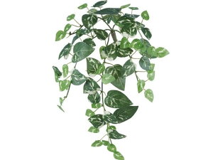 y񂹁zYDM  |gXoCS GR CeA ͂Ȃ ϗtA ԍ t[AWg tFCNO[ Xܑ t O[   t[AWgޗ