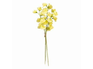 y񂹁z  WfBXCgs[oh 3{ LEMON A[eBtBVt[ CeA  ͂Ȃ ϗtA ԍ t[AWg tFCNt[ X