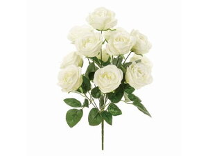 y񂹁z  VA[YubV CREAM CeA ͂Ȃ ϗtA ԍ t[AWg tFCNt[ Xܑ o ԍ   t[AWg