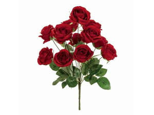 y񂹁z  VA[YubV RED CeA ͂Ȃ ϗtA ԍ t[AWg tFCNt[ Xܑ o ԍ   t[AWg