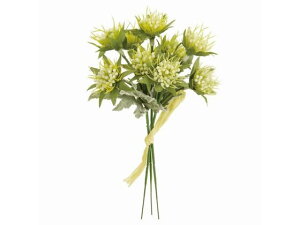 y񂹁z  ~L[XJrITsbN 3{ YELLOW CeA ͂Ȃ ϗtA ԍ t[AWg tFCNt[ Xܑ ԍ   t[AW