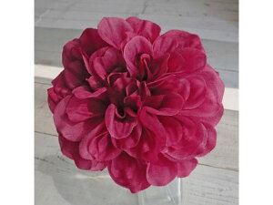 y񂹁z  vC_AsbN BEAUTY ԍ   t[AWgޗ