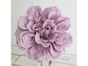 y񂹁z  vC_AsbN LILAC ԍ   t[AWgޗ