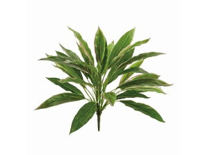 y񂹁z  T[hZiubV CeA ͂Ȃ ϗtA ԍ t[AWg tFCNO[ Xܑ t O[   t[AW