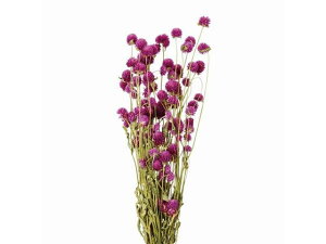 y񂹁z hCt[ g 45g p[v CeA ͂Ȃ ϗtA ԍ t[AWg tFCNt[ tFCNO[ Xܑ ԍ hCt