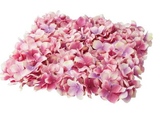 y񂹁zYDM  nChWA}bg sNx_[ CeA ͂Ȃ ϗtA ԍ t[AWg tFCNt[ Xܑ ԍ   t[AW