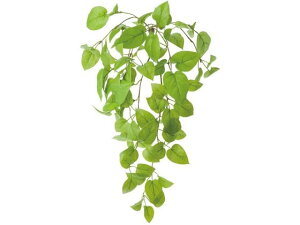 y񂹁zYDM  C|gXubV CgO[ CeA ͂Ȃ ϗtA ԍ t[AWg tFCNO[ Xܑ t O[   t[A