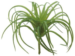 y񂹁zYDM  `WAsbN O[ CeA ͂Ȃ ϗtA ԍ t[AWg tFCNt[ Xܑ t O[   t[AW