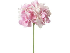 y񂹁zYDM  nChWAsbN CgsN CeA ͂Ȃ ϗtA ԍ t[AWg tFCNt[ Xܑ ԍ   t[AWg