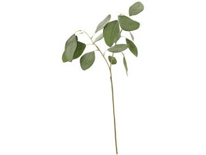 y񂹁z  i`[[J GREY GR OCO[ CeA ͂Ȃ ϗtA ԍ t[AWg tFCNO[ Xܑ t O[   t