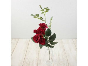 y񂹁z  pbg[Y 3 RED bh CeA ͂Ȃ ϗtA ԍ t[AWg tFCNt[ Xܑ o ԍ   t[AW