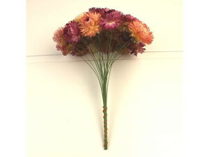 y񂹁z hCt[ wNTC[t sN 25{ A[eBtBVt[ CeA  ͂Ȃ ϗtA ԍ t[AWg tFCNt