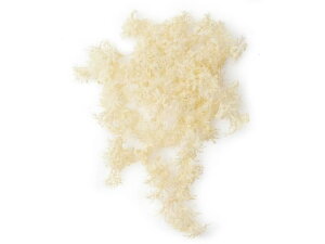 y񂹁zYDM  tBhX CeA ͂Ȃ ϗtA ԍ t[AWg tFCNO[ Xܑ t O[   t[AWgޗ