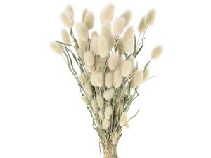 y񂹁z hCt[ ~jOX 15g CeA ͂Ȃ ϗtA ԍ t[AWg tFCNt[ tFCNO[ Xܑ ԍ hCt[  