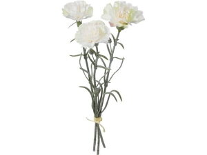 y񂹁zYDM  J[l[Vo` N[ CeA ͂Ȃ ϗtA ԍ t[AWg tFCNt[ Xܑ ԍ   t[AWgޗ