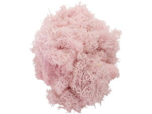 【お取り寄せ】東京堂 プリザーブドフラワー フィンランドモス #46 ミルキーピンク 25g アーティフィシャルフラワー インテリア おしゃれ 枯れない 観葉植物 花材 フラワーアレンジメント