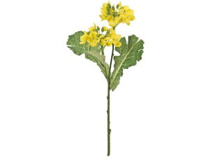 y񂹁z  K[f؂̉  CG[ CeA ͂Ȃ ϗtA ԍ t[AWg tFCNt[ Xܑ ԍ   t[AWgޗ