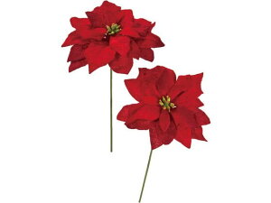 y񂹁z  x[i|CZ`AsbN 3 bh 4{ A[eBtBVt[ CeA  ͂Ȃ ϗtA ԍ t[AWg tFCNt